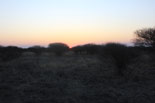 Hunting area at sunrise