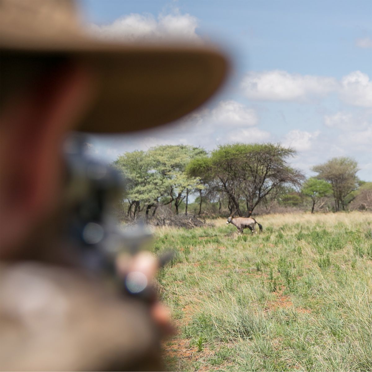 Cruiser Safaris | Best Safari Hunting in South Afric.