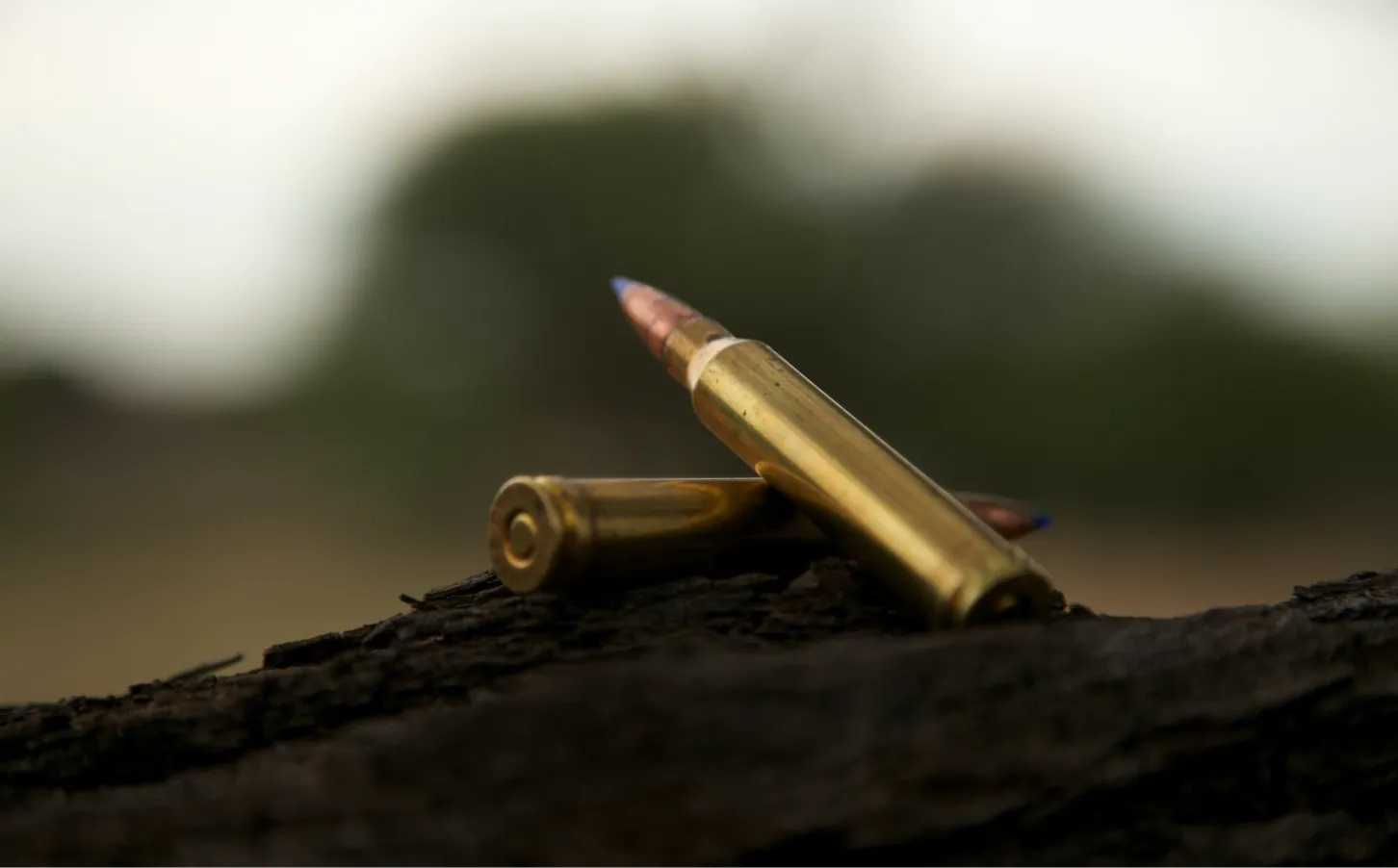 A close-up of rifle bullets