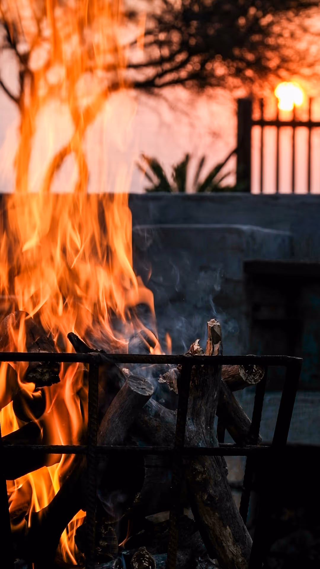 Bright orange flames burning wood logs in a metal fire pit at sunset