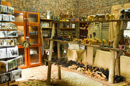 Curio Shop
