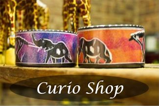 Link to Cruiser Safaris curio shop amentity.