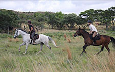 Horseback rides