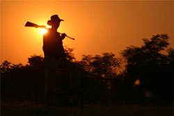 Hunter at sunset