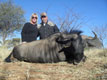 Dale, Ann and Dale's Wildebeest