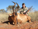 Brody's Red Hartebeest - thumbnail