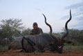 John Rigge - Kudu