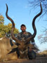 Brian's Kudu