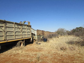 Animal capture truck